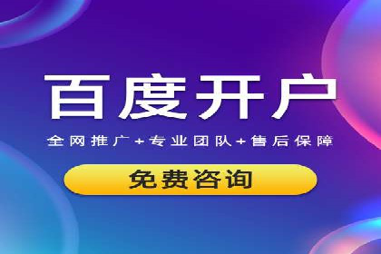 SEO与SEM融合策略：成功案例解析